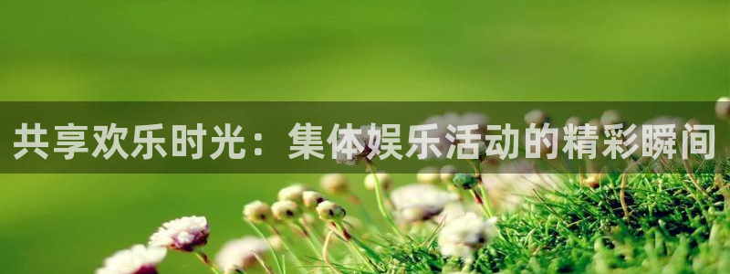 小焦点娱乐：共享欢乐时光：集体娱乐活动的精彩瞬间