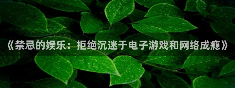 焦点娱乐登录地址：《禁忌的娱乐：拒绝沉迷于电子游戏和网络成瘾》