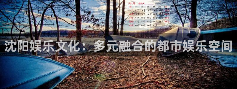 焦点娱乐官网：沈阳娱乐文化：多元融合的都市娱乐空间