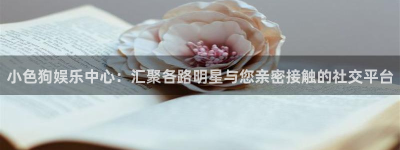 upload/20250701114914.jpg