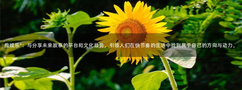upload/20250701114914.jpg